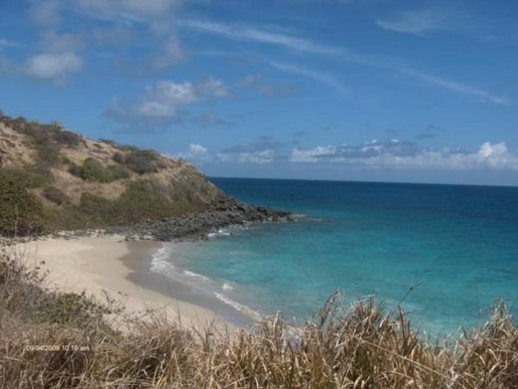 3104 Costa Bonita Beach Condo Culebra Isla Culebra Eksteriør bilde